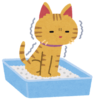 ずっと気張っている 猫の便秘  おしえてRin先生