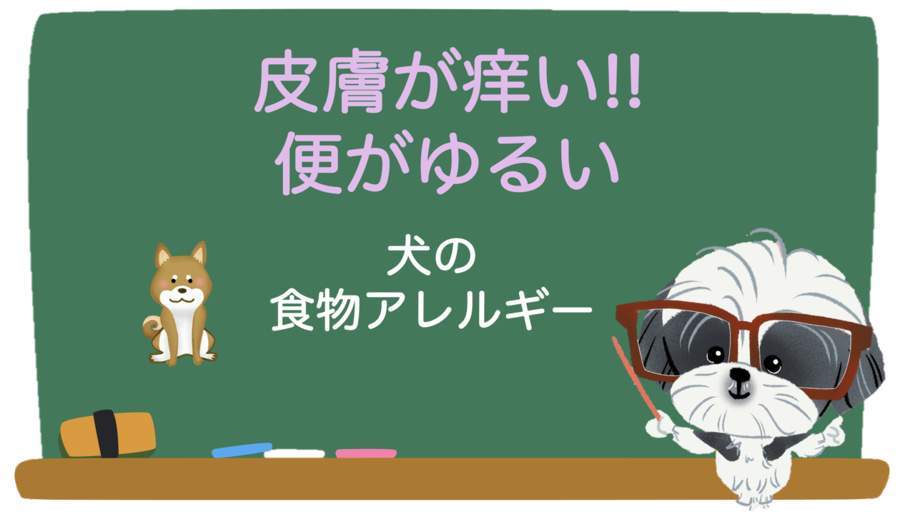 皮膚が痒い 便がゆるい 犬の食物アレルギー おしえてrin先生